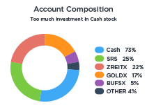 investment account holdings